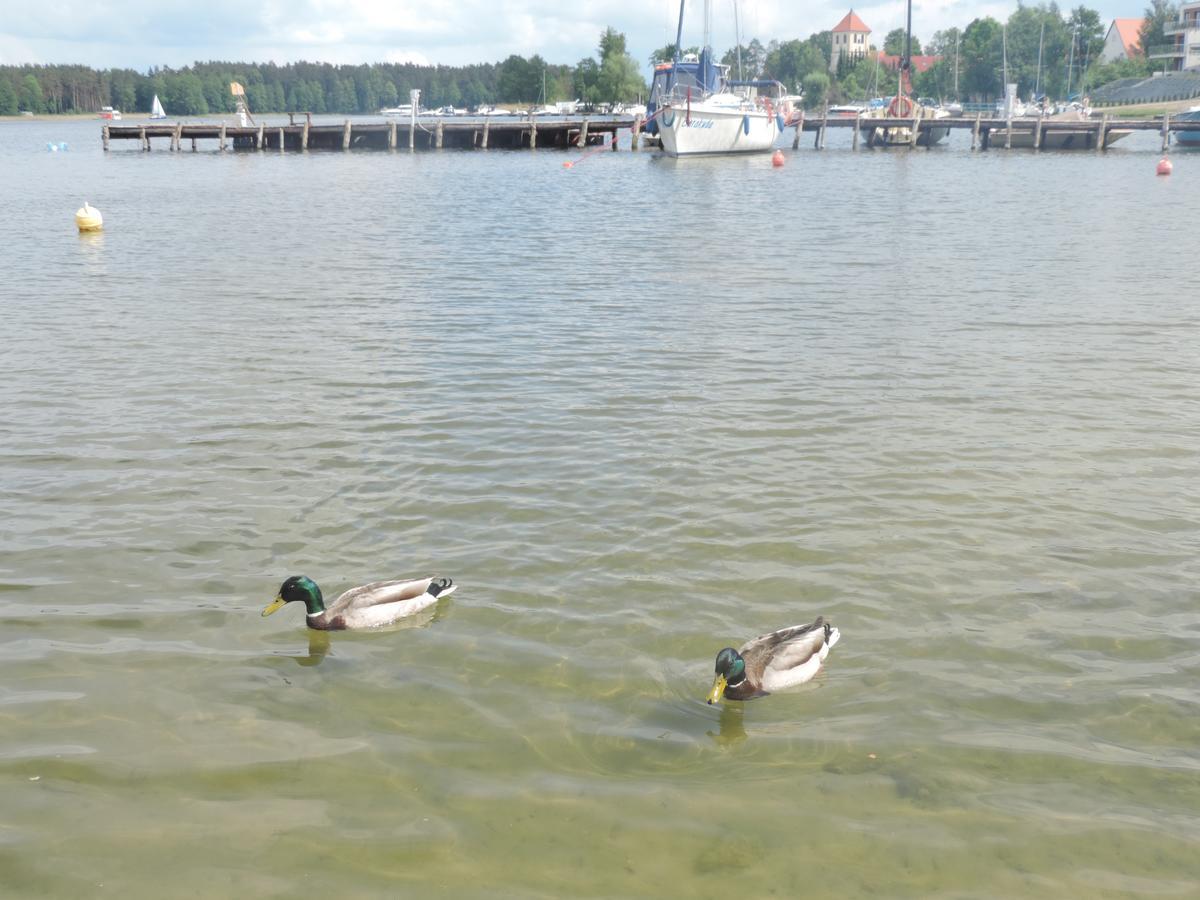 Lodge Mazurskie Wzgorze *